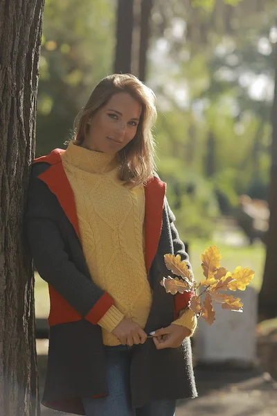 Vista Otoño Una Chica Camina Parque Hojas Amarillas Parque Otoño —  Fotos de Stock