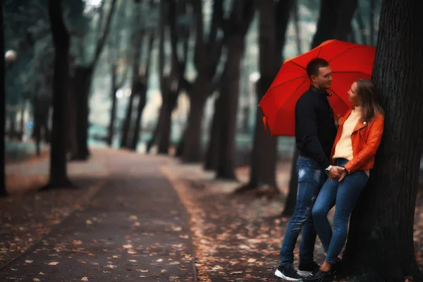 Regen Herbstpark Junges Jähriges Paar Spaziert Bei Nassem Regenwetter Unter — Stockfoto