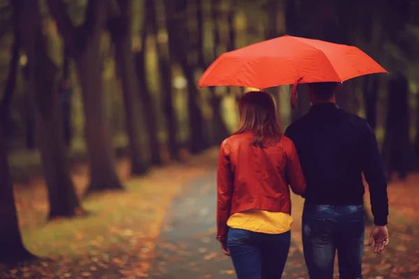 秋の公園の雨 若い25歳のカップル男と女は湿った雨の中で傘の下を歩く 10月の恋人を歩く — ストック写真