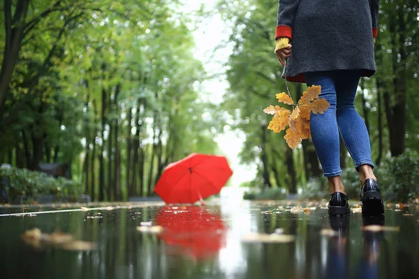 Herbstlandschaft Park Mädchen Mit Rotem Regenschirm Konzept Herbstwetter Regnet Eine — Stockfoto