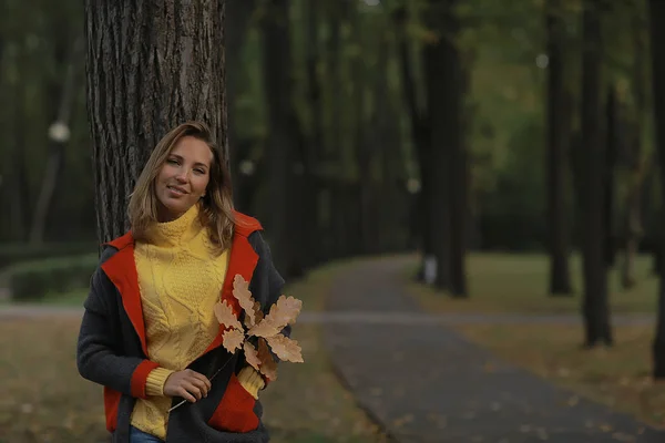 Herfst Uitzicht Een Meisje Wandelingen Het Park Gele Bladeren Herfst — Stockfoto