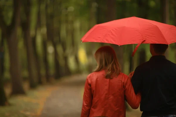 雨在秋天公园 年轻25岁夫妇在潮湿的雨天走在伞下 走十月恋人 — 图库照片