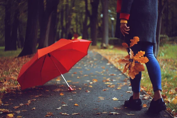 Leaf Fall Herfst Gevallen Gele Bladeren Handen Van Een Enkel — Stockfoto