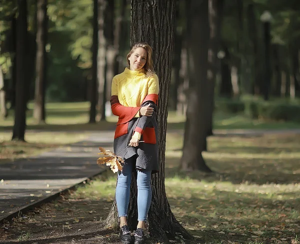 Sonbahar Manzarası Bir Kız Parkta Yürüyor Sarı Yaprakları Sonbahar Parkı — Stok fotoğraf