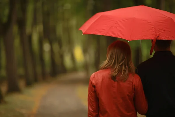 Chuva Parque Outono Jovem Anos Casal Homem Mulher Caminham Sob — Fotografia de Stock