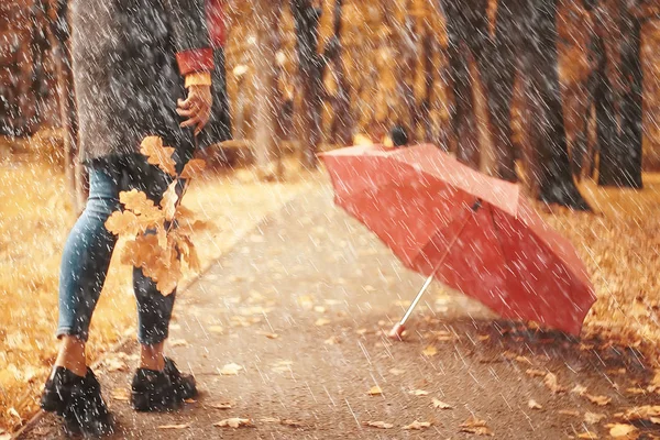 Autumn Landscape Park Girl Red Umbrella Concept Autumn Weather Raining Royalty Free Stock Photos