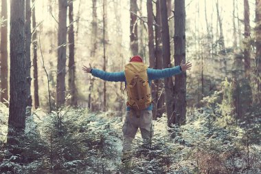 Kış manzarası sırt çantalı gezgin adam / gezgin ormandaki kışlık giysiler, Avrupa dağlarında seyahat, İsviçre kışı