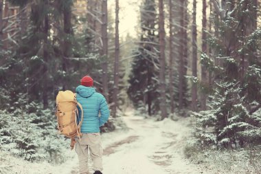 arkadan turist görünümü / bir sırt çantası ile bir adam giden görünümü, kış ormanı geçer