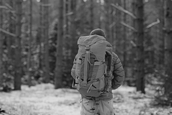 Zimní Krajina Les Batoh Muž Cestovatel Moderním Zimním Oblečení Lese — Stock fotografie