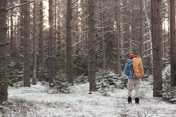 Inverno Paisagem Floresta Mochila Homem Viajante Roupas Modernas Inverno Floresta — Fotografia de Stock