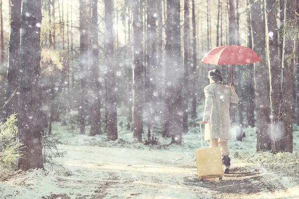 tourist in the winter forest / the guy travels against the backdrop of a winter landscape with forest, snow and trees