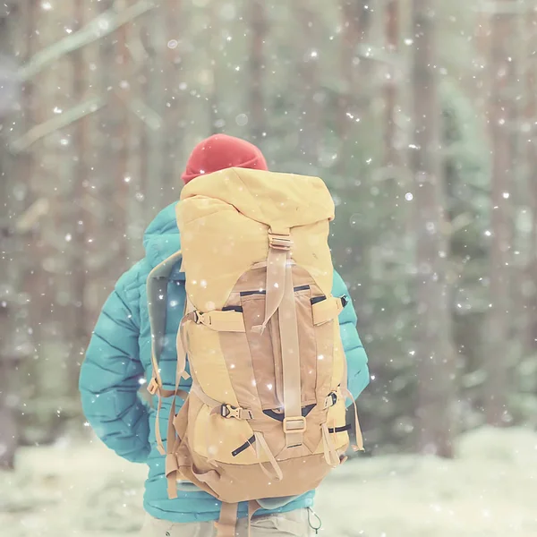 Norveç'te kışın sırt çantası yürüyüş ile turist arka görünümü / Norveç kış manzara sırt çantası taşıyan bir adam.