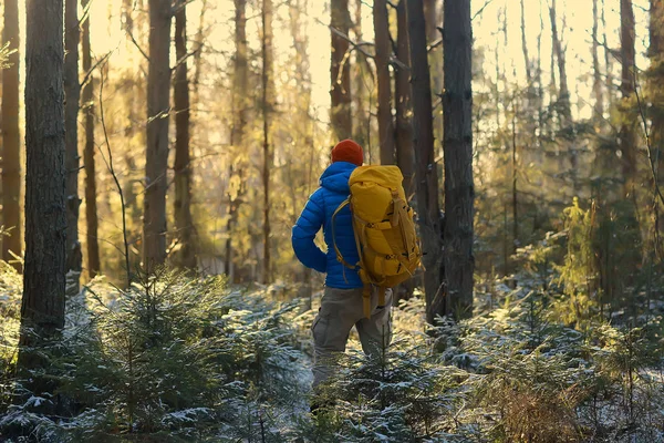 Turist Vinterskogen Killen Färdas Mot Bakgrund Ett Vinterlandskap Med Skog — Stockfoto