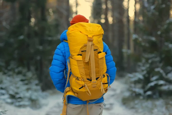 Зимний Пейзаж Лесной Рюкзак Человек Путешественник Современной Зимней Одежде Лесу — стоковое фото
