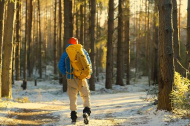 Norveç'te kışın sırt çantası yürüyüş ile turist arka görünümü / Norveç kış manzara sırt çantası taşıyan bir adam.