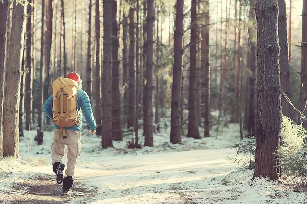 Toerist Het Winter Bos Man Reist Tegen Achtergrond Van Een — Stockfoto