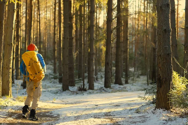 冬の風景の森のバックパック男 旅行者現代の冬の服で森の中 ヨーロッパ スイスの冬の山の中を旅 — ストック写真