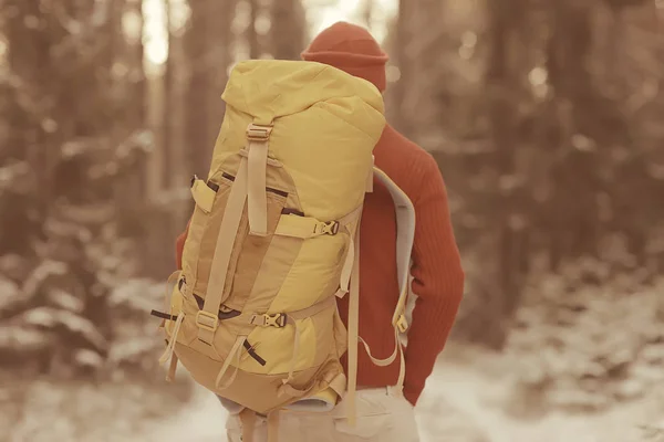 Winter Landscape Forest Backpack Man Traveler Modern Winter Clothes Forest — 스톡 사진