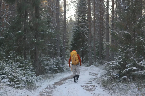 Tourist View Back Man Backpack Goes Winter Forest View Outgoing — Stock Photo, Image