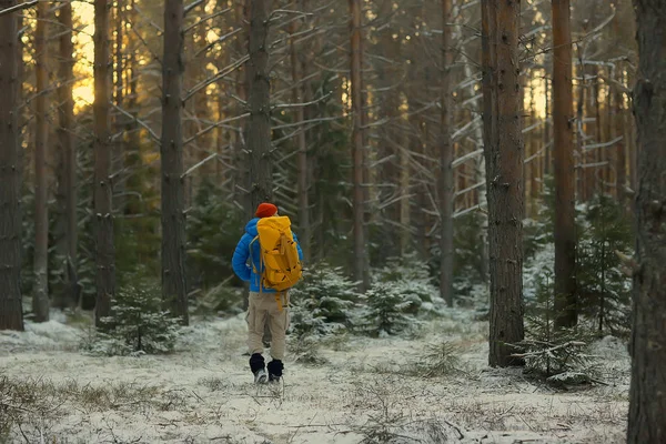 Turysta Lesie Zimowym Facet Podróżuje Tle Zimowego Krajobrazu Lasem Śniegiem — Zdjęcie stockowe