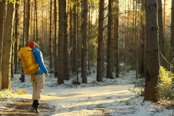 游客在冬季森林 家伙旅行的背景与森林 雪和树木的冬季景观 — 图库照片