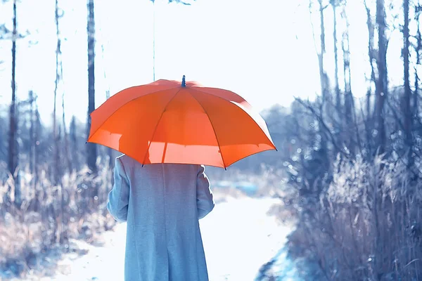 winter walk with an umbrella / man in a coat with an umbrella, walk against the backdrop of the winter landscape, winter view