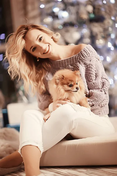 Kız Model Köpek Noel Sevimli Köpek Kız Yeni Yıl — Stok fotoğraf