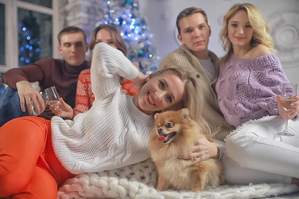 insanlar ve şampanya ile kız ve erkek Noel akşamı yeni yıl iç / arkadaşlar bir köpek grubu