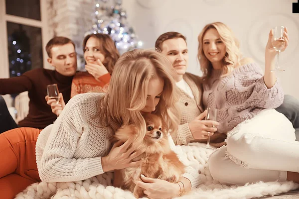 group of people and a dog in the New Year\'s interior / friends of boys and girls Christmas evening with champagne