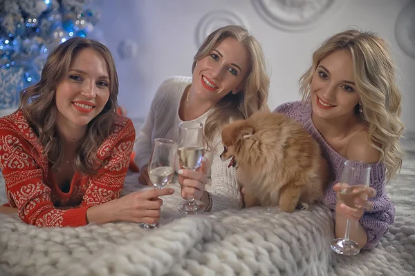 Namorada Natal Namorada Meninas Bebem Champanhe Feriado Ano Novo Mulheres — Fotografia de Stock