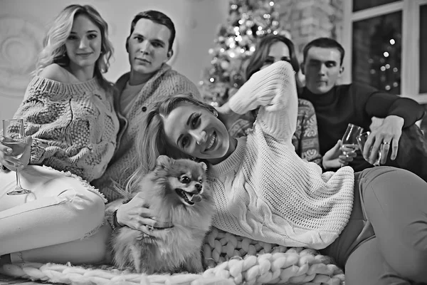 insanlar ve şampanya ile kız ve erkek Noel akşamı yeni yıl iç / arkadaşlar bir köpek grubu