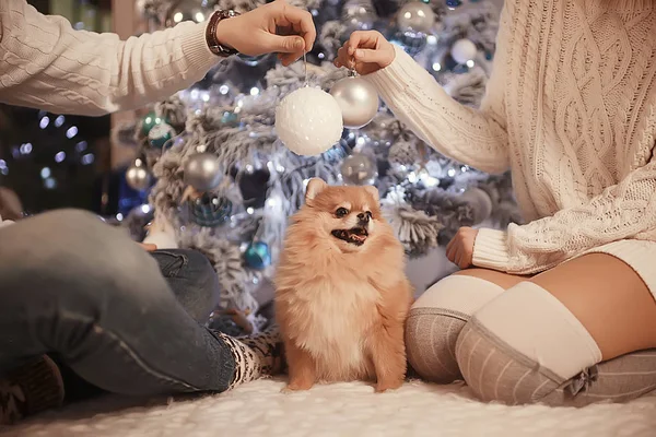 Εραστές Μικρό Σκυλί Πρωτοχρονιάτικο Εσωτερικό Αγόρι Και Κορίτσι Αγκαλιά Χριστούγεννα — Φωτογραφία Αρχείου