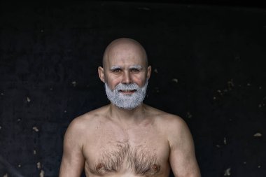 acımasız kel sakallı adam / stüdyo izole, gri sakallı fotoğraf adam, kel kafa