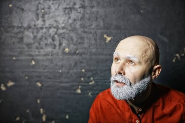 acımasız kel sakallı adam / stüdyo izole, gri sakallı fotoğraf adam, kel kafa