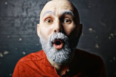 acımasız kel sakallı adam / stüdyo izole, gri sakallı fotoğraf adam, kel kafa