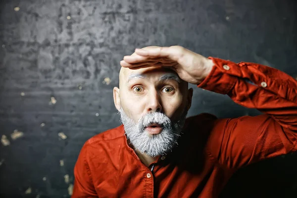 brutal bald bearded man / studio isolate, photo guy with a gray beard, bald head