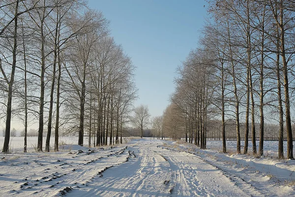 Homme Mode Dans Style Manteau Hiver Promenade Dans Contexte Paysage — Photo