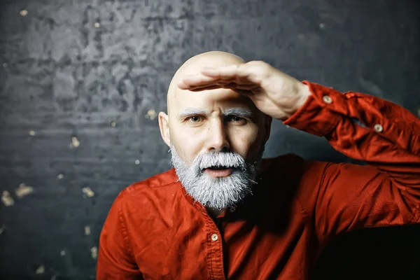 Brutal Bald Skäggiga Man Studio Isolera Foto Kille Med Grå — Stockfoto