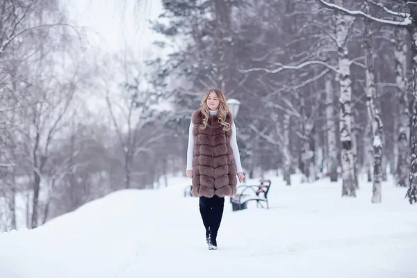 Spaziergang Einem Winterpark Weihnachtsmädchen Schönes Modell Posiert Der Wintersaison Spaziergang — Stockfoto