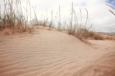 çöl manzara / kum çölü, hiçbir insan, kumul manzara