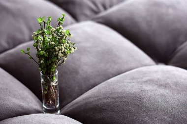 bahar buketi dalları tomurcuk yaprakları / yeşil yaprakları tomurcukları ve çiçekleri ile bir buket küçük taze dalları, bahar