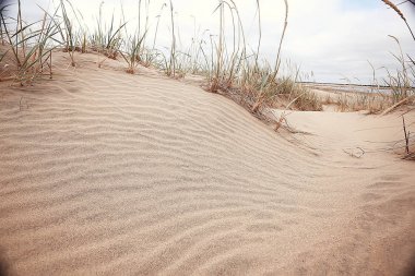 çöl manzara / kum çölü, hiçbir insan, kumul manzara