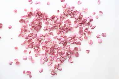 kalp gül yaprakları / pembe güller, kalp şeklinde çerçeve yaprakları, aşk konsepti