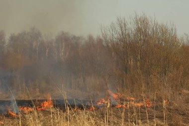 tarlada yangın / kuru ot yangın, yanan saman, eleman, doğa manzara, rüzgar