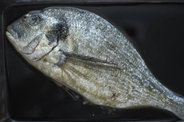 bir restoranda dorado ızgara / balık bir restoranda kızarmış, kömür üzerinde güzel bir deniz ürünleri ızgara