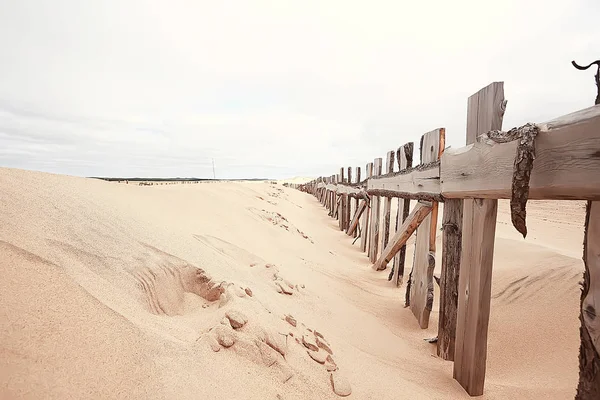 Woestijnvorming Klimaatverandering Concept Opwarming Van Aarde Woestijn Landschap — Stockfoto