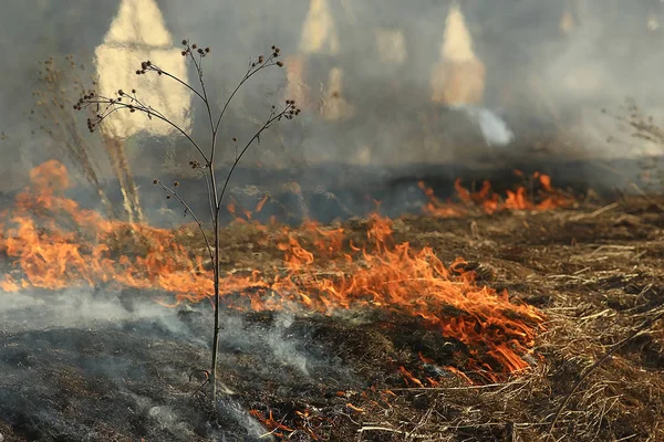 Brand Het Veld Brand Het Droge Gras Brandende Stro Element — Stockfoto