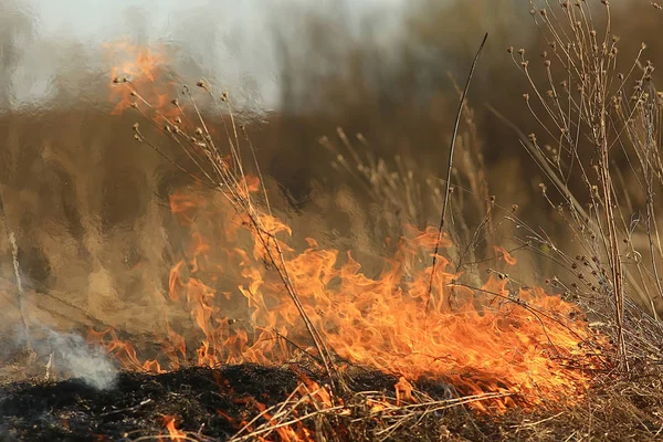 Φωτιά Στο Χωράφι Φωτιά Στο Ξηρό Γρασίδι Κάψιμο Άχυρο Στοιχείο — Φωτογραφία Αρχείου