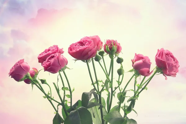ピンクのバラの背景 休日のコンセプト 美しいピンクの花の背景の花束 — ストック写真