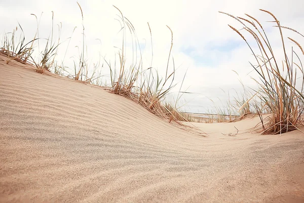 Désert Paysage Désert Sable Pas Peuple Paysage Dunes — Photo